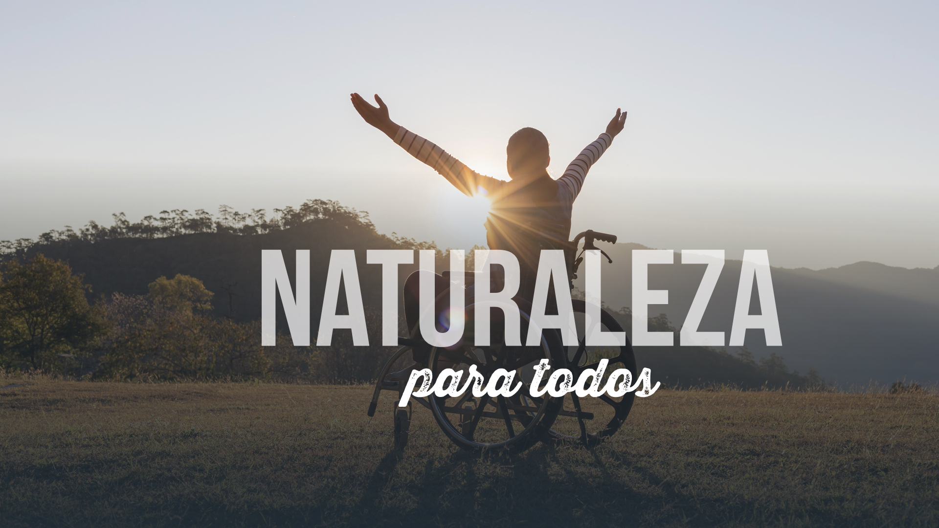 Curso
